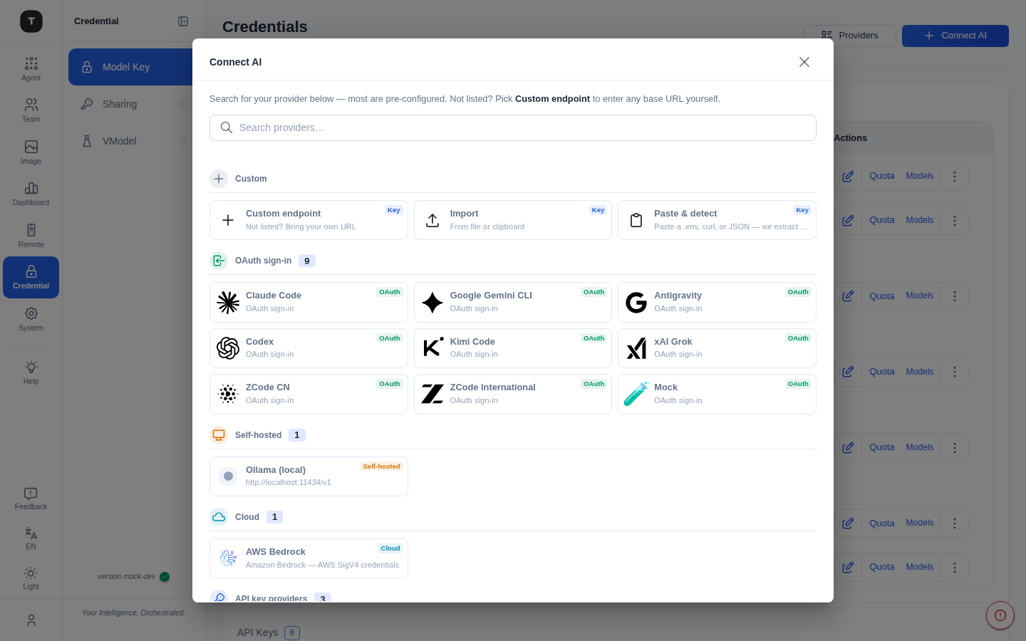 Connect AI dialog with API key, OAuth and self-hosted providers