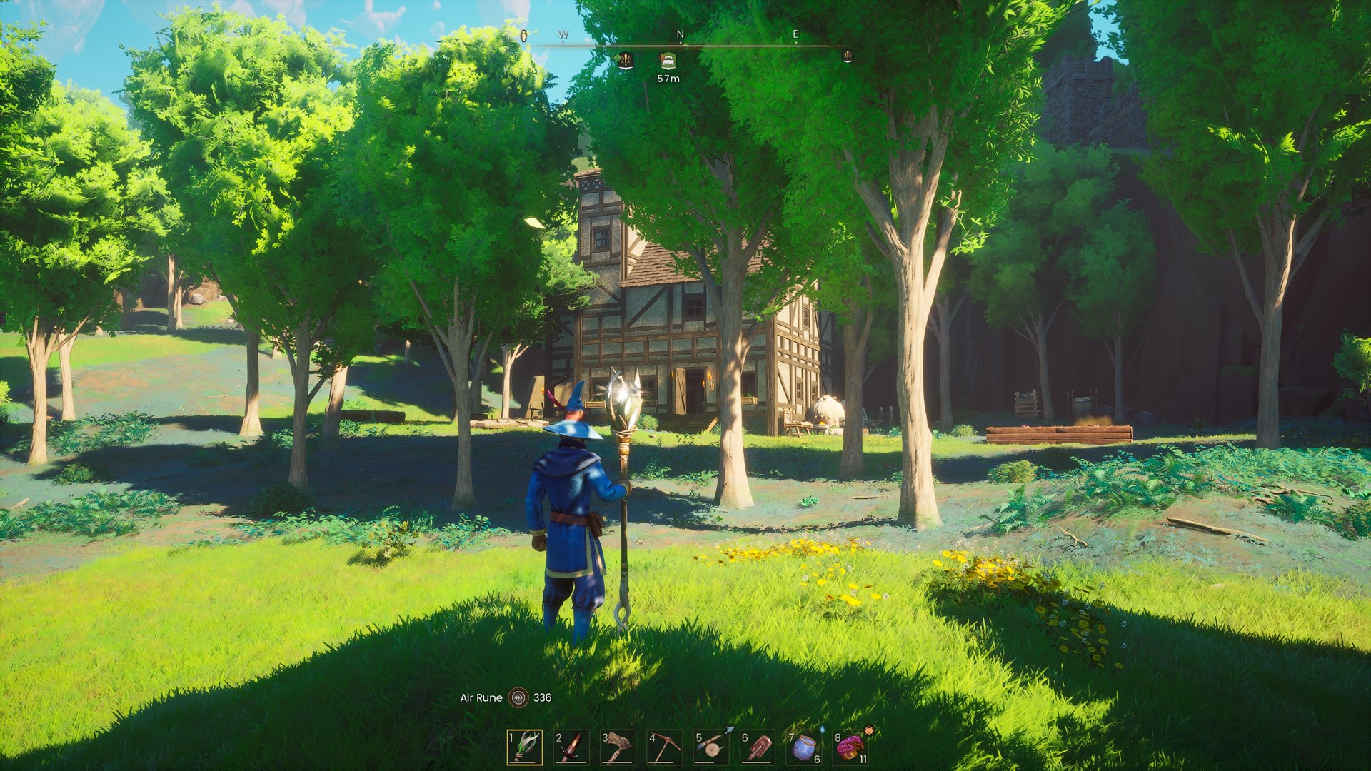 The immersive camera on a sunny day