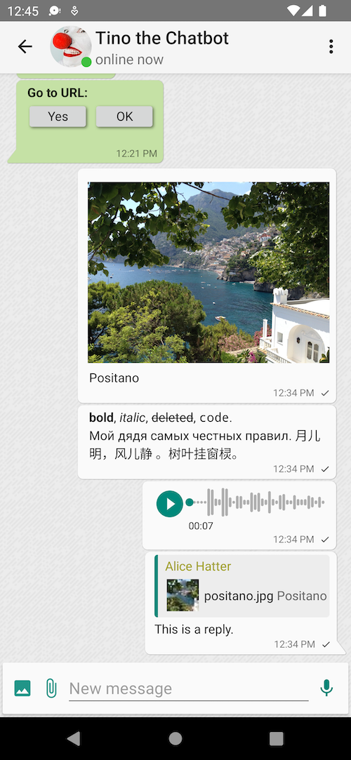 Android screenshot: one conversation