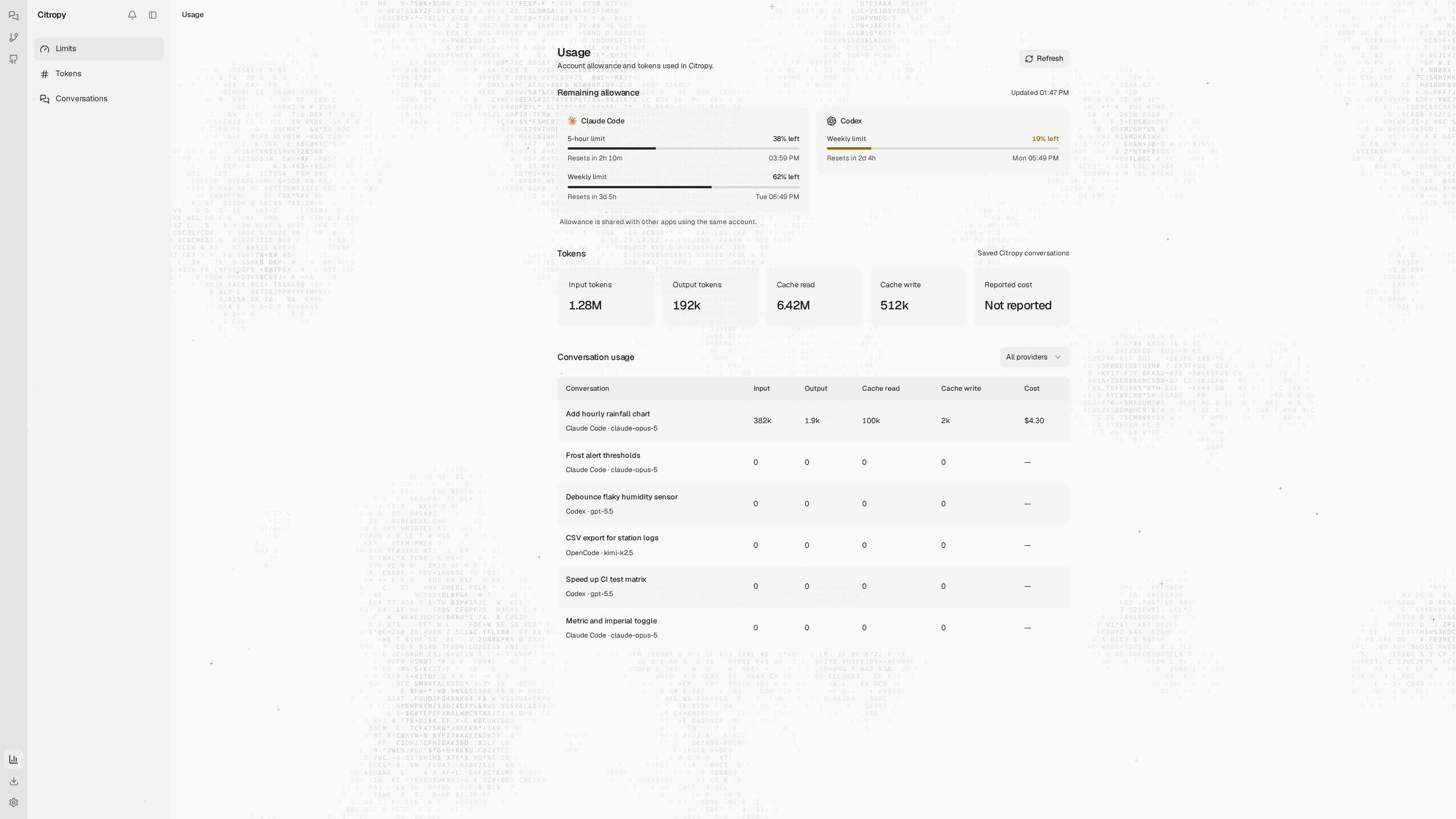 The Usage view with allowances, token totals, and per-conversation usage
