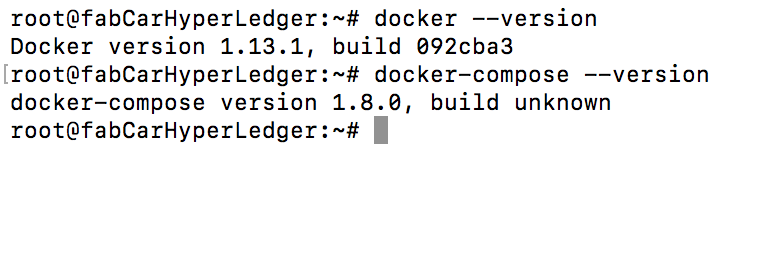 End of the docker installation