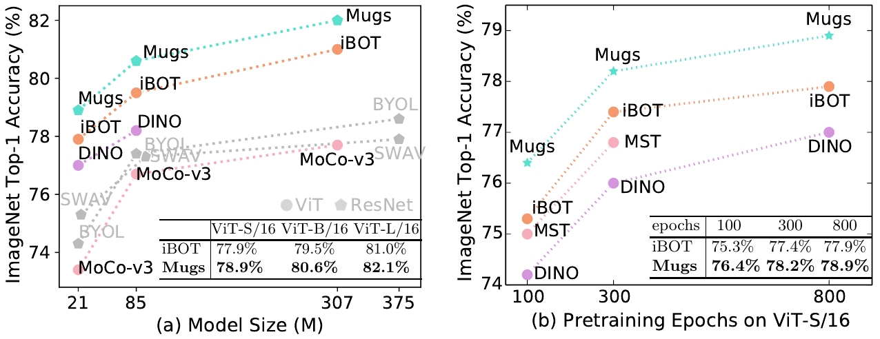 Comparison of linear probing accuracy on ImageNet-1K.