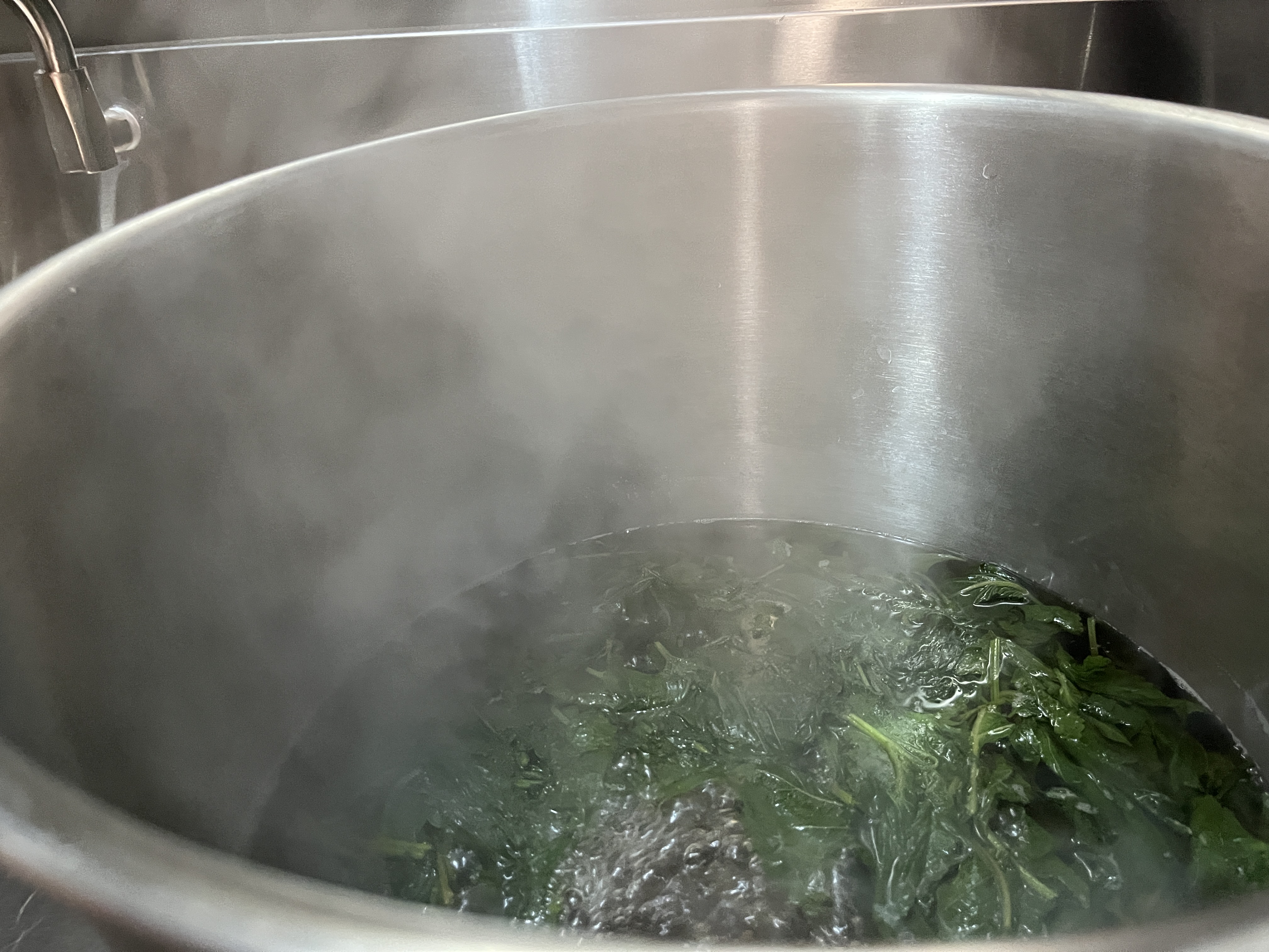 Naula preparation — slow cooking Vietnamese botanicals