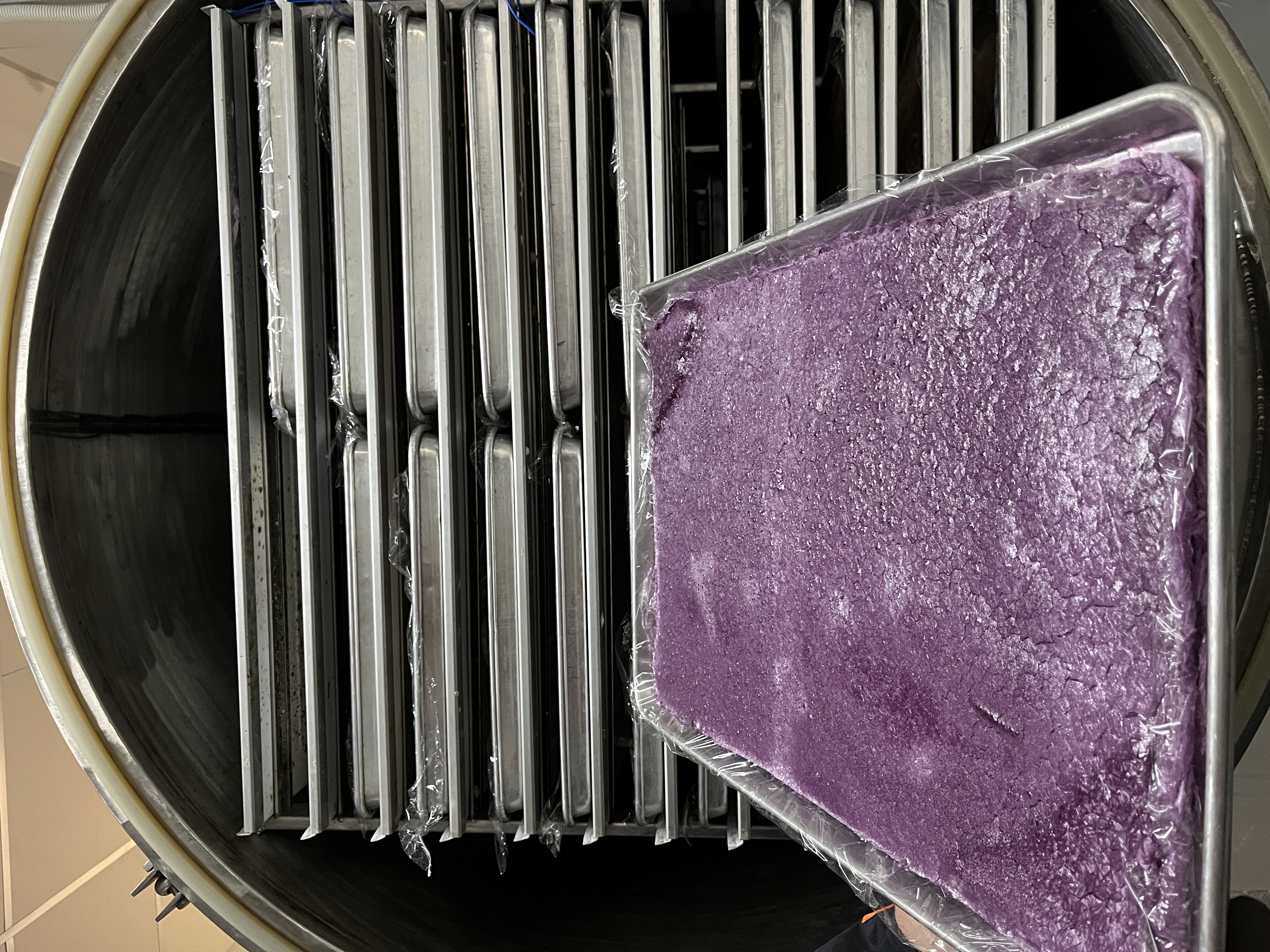 Freeze-drying — TKG Naula botanical powder production