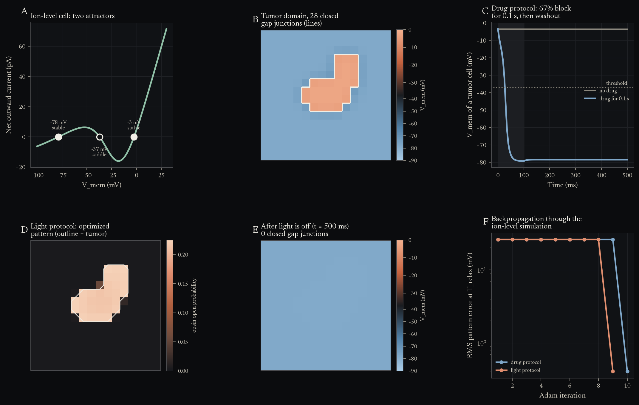 Inverse design of interventions on an ion-level tissue