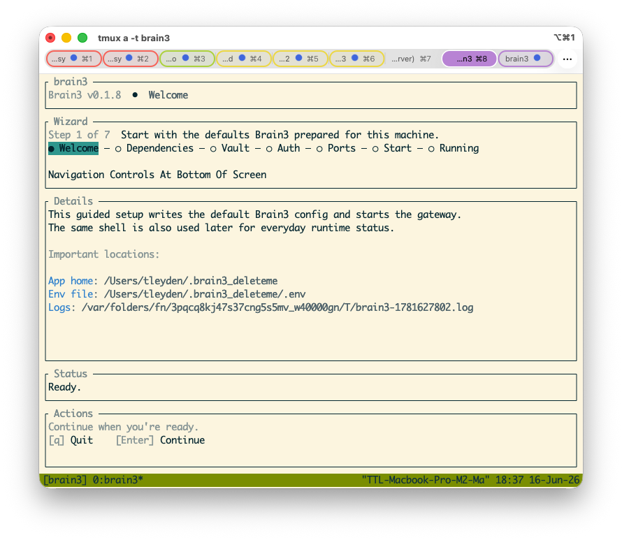 Brain3 setup wizard screenshot