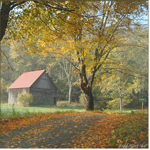 Photo of barn on rural road in fall