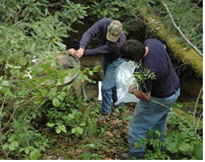 Photo of two men removing metal drum from stream