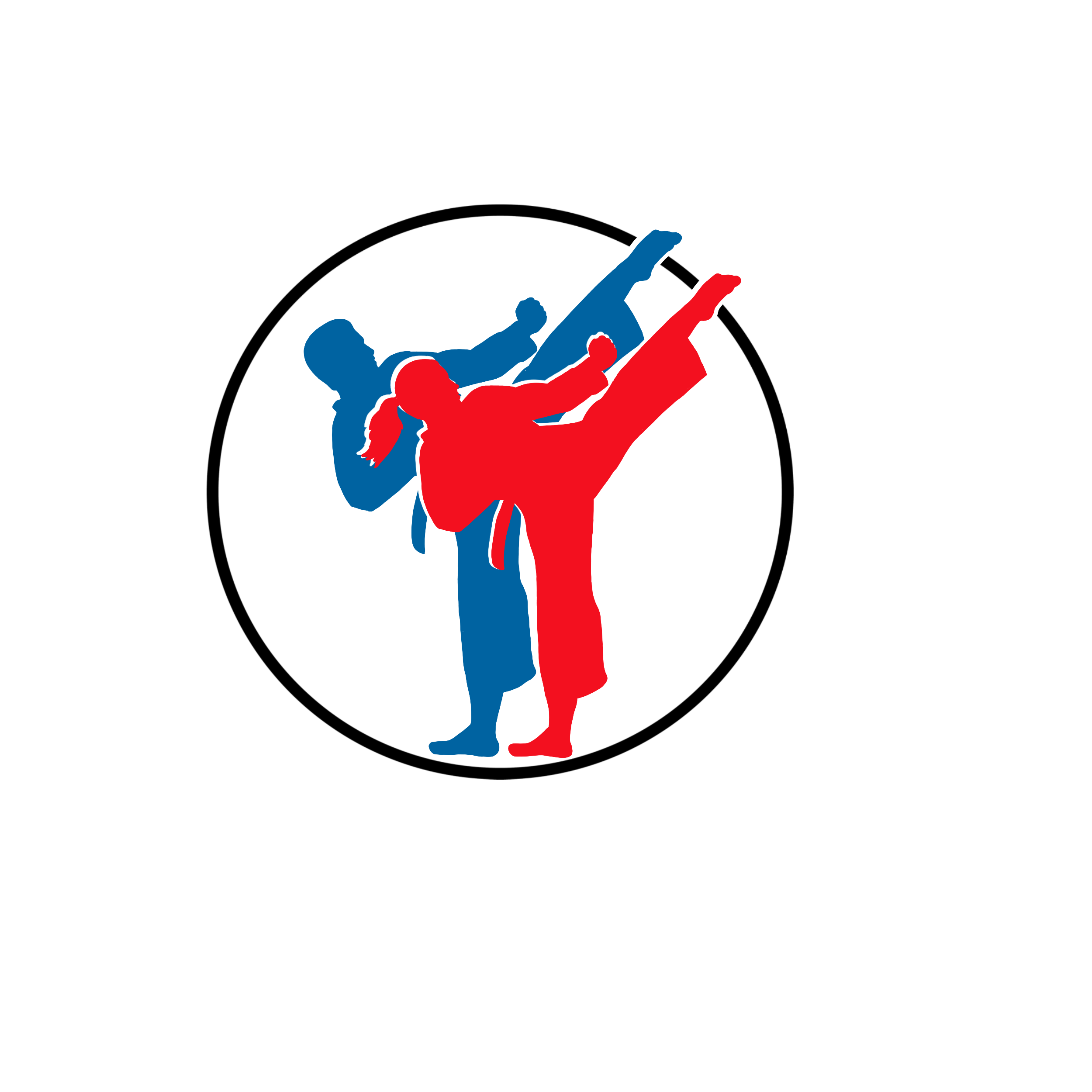 Teifi Taekwondo