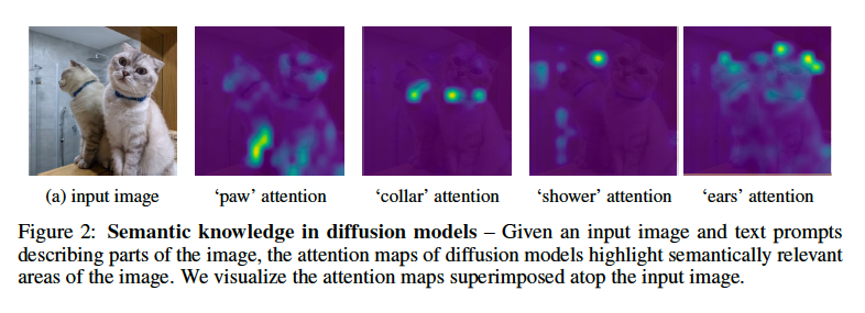 English Word Attention Maps