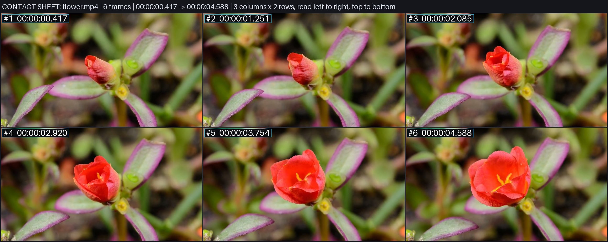 A contact sheet made by agentic-video from a 5-second clip: six frames, each with its timestamp burned in