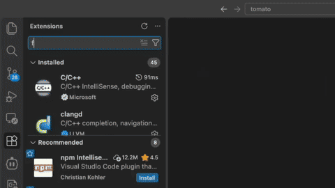 FramePort live capture demo in VS Code — click for the full clip