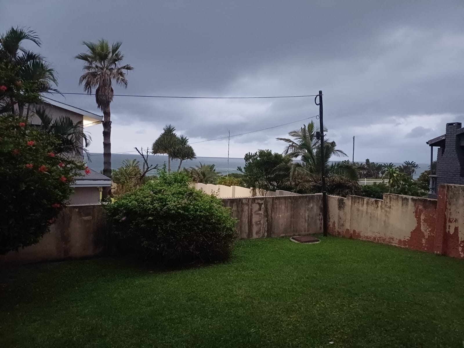 Original input raster image (A garden in Margate, South Africa)