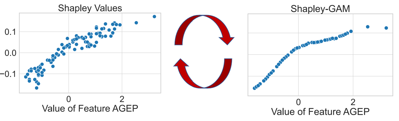 Shapley Values