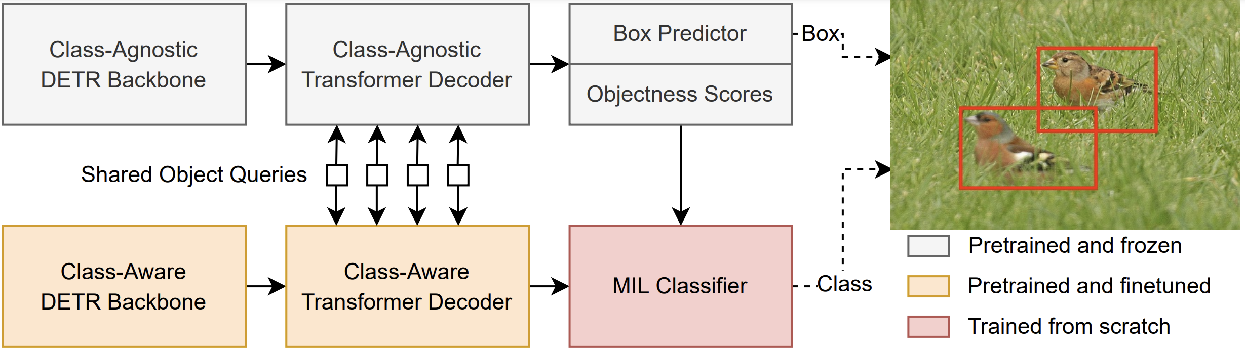 WS-DETR Architecture