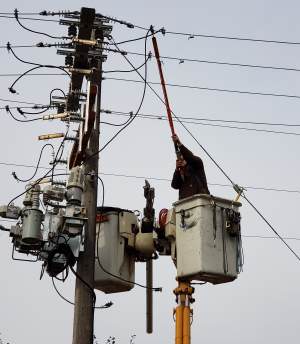 Electrical installation – aerial bucket work