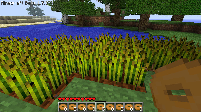 Screenshot of Minecraft Beta 1.7.3 showing a wheat farm and a player holding an inventory full of bagels.