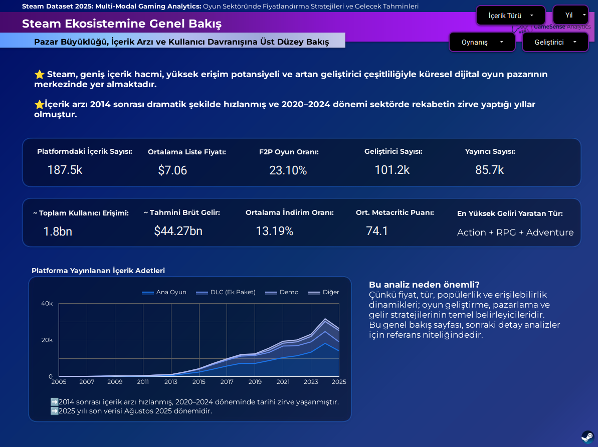 Steam 2025 — executive summary visual
