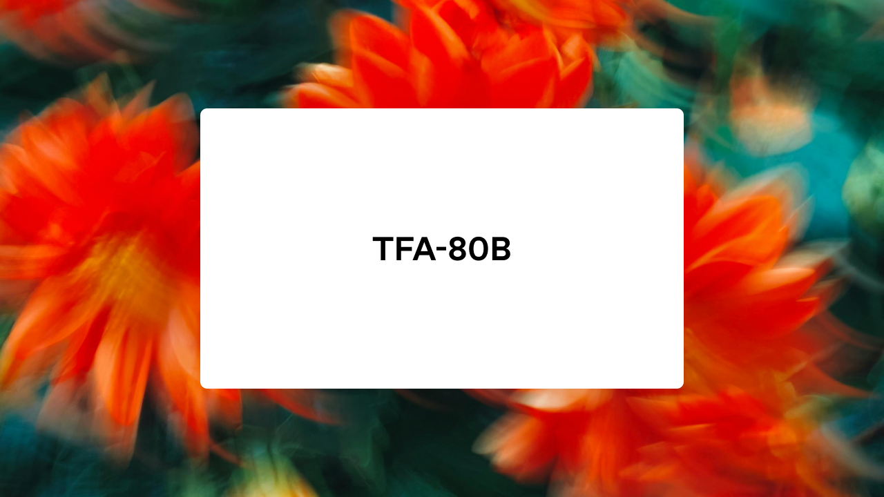 TFA-80B Logo