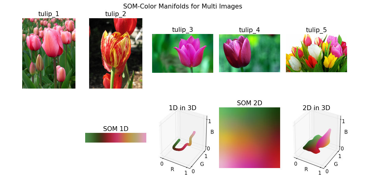 SOM for Color Manifolds