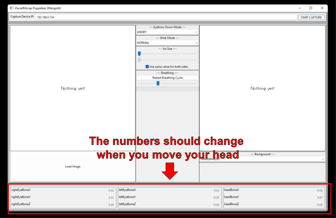 The numbers in the bottom part of the window should change when you move your head.