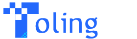 TolingCode
|
|
1
|
+
![TolingCode logo