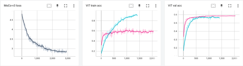 Training & evaluation curves