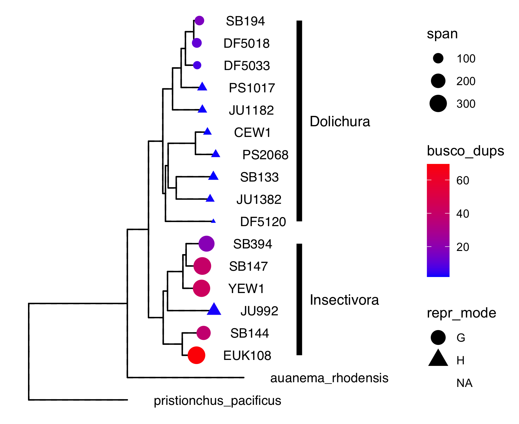 Phylogeny of sequenced strains