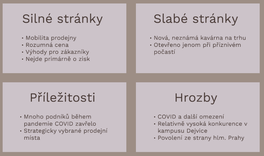 SWOT analýza