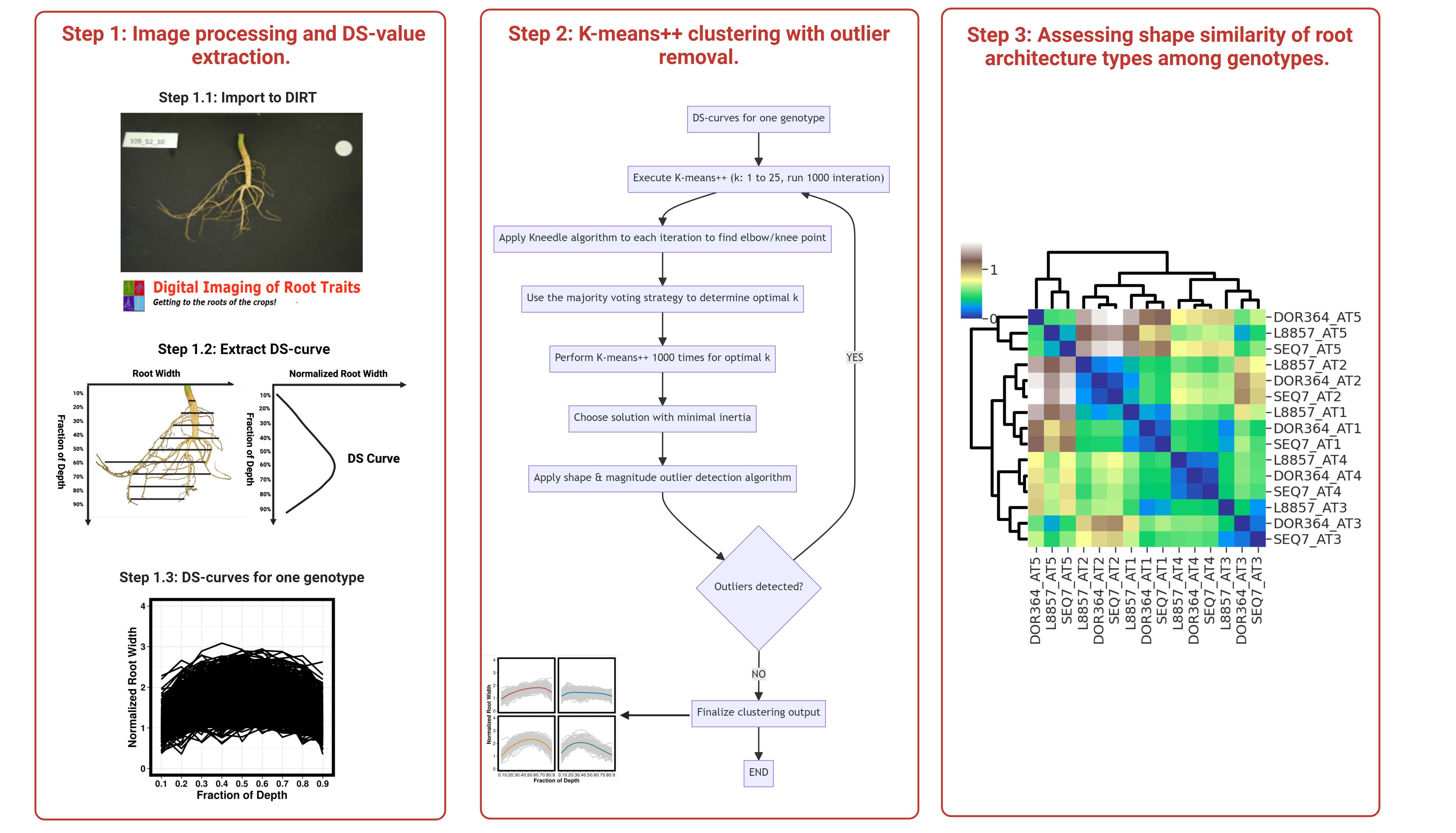 DIRT-Pop Overview