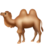 camel