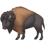 bison