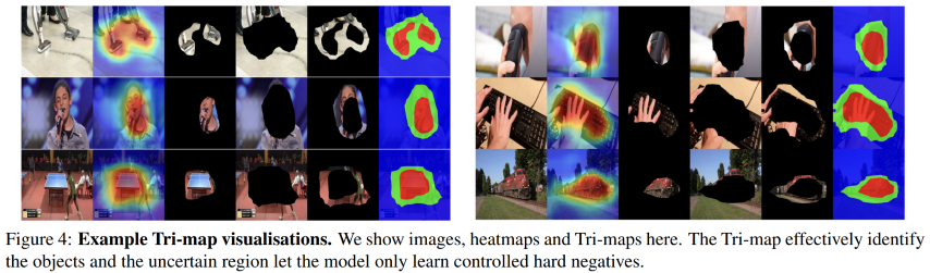 Fig.6. the trimap structure over several images