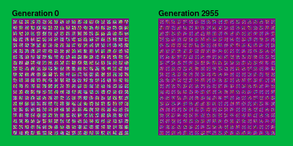 purple gen 2955