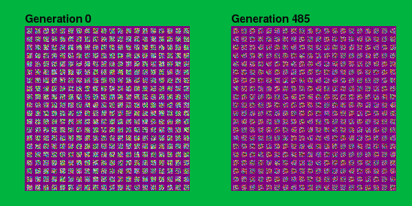 purple gen 485