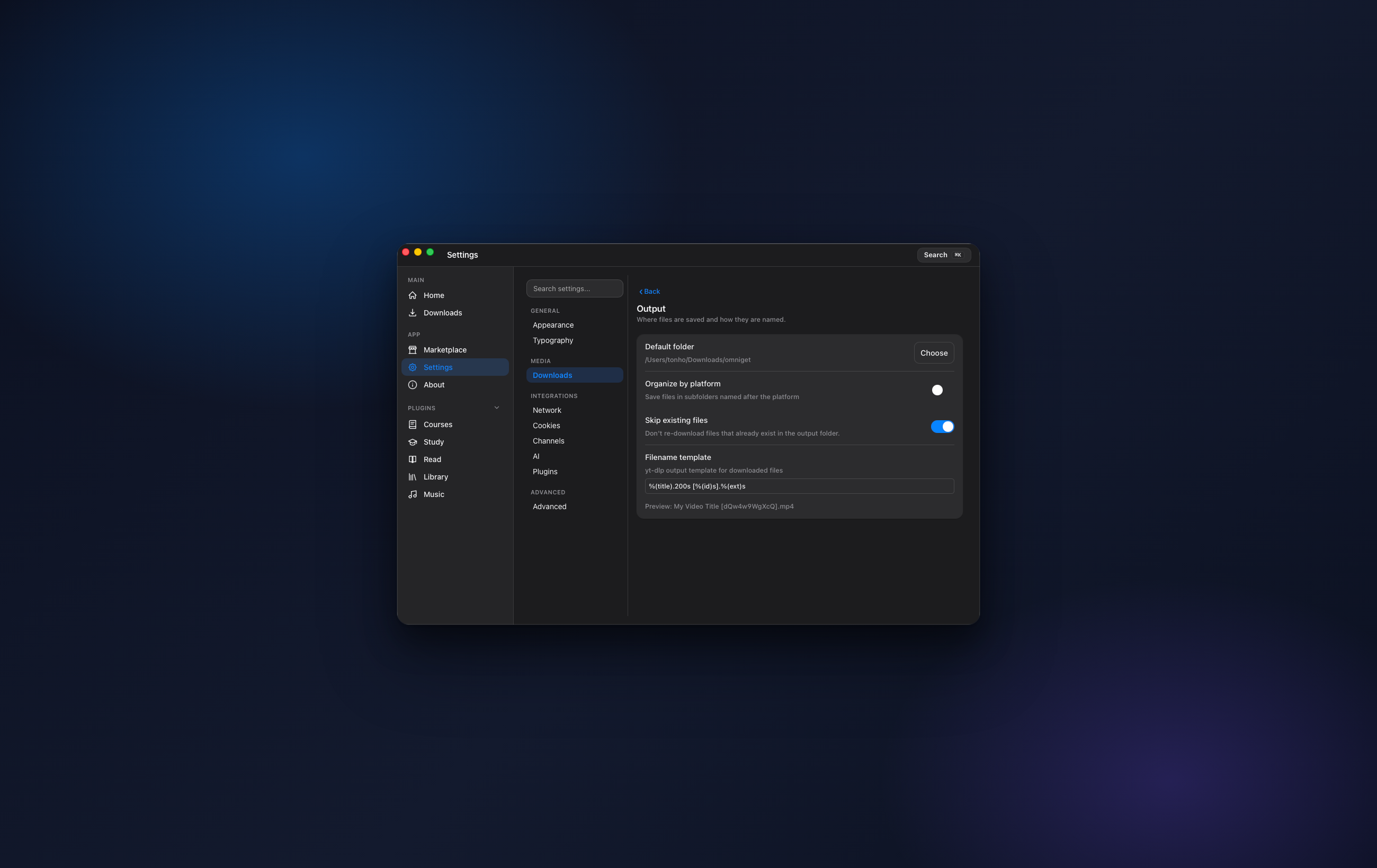 OmniGet download settings, output folder, organize by platform, filename template, skip existing files