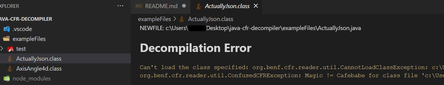 Decompilation Error