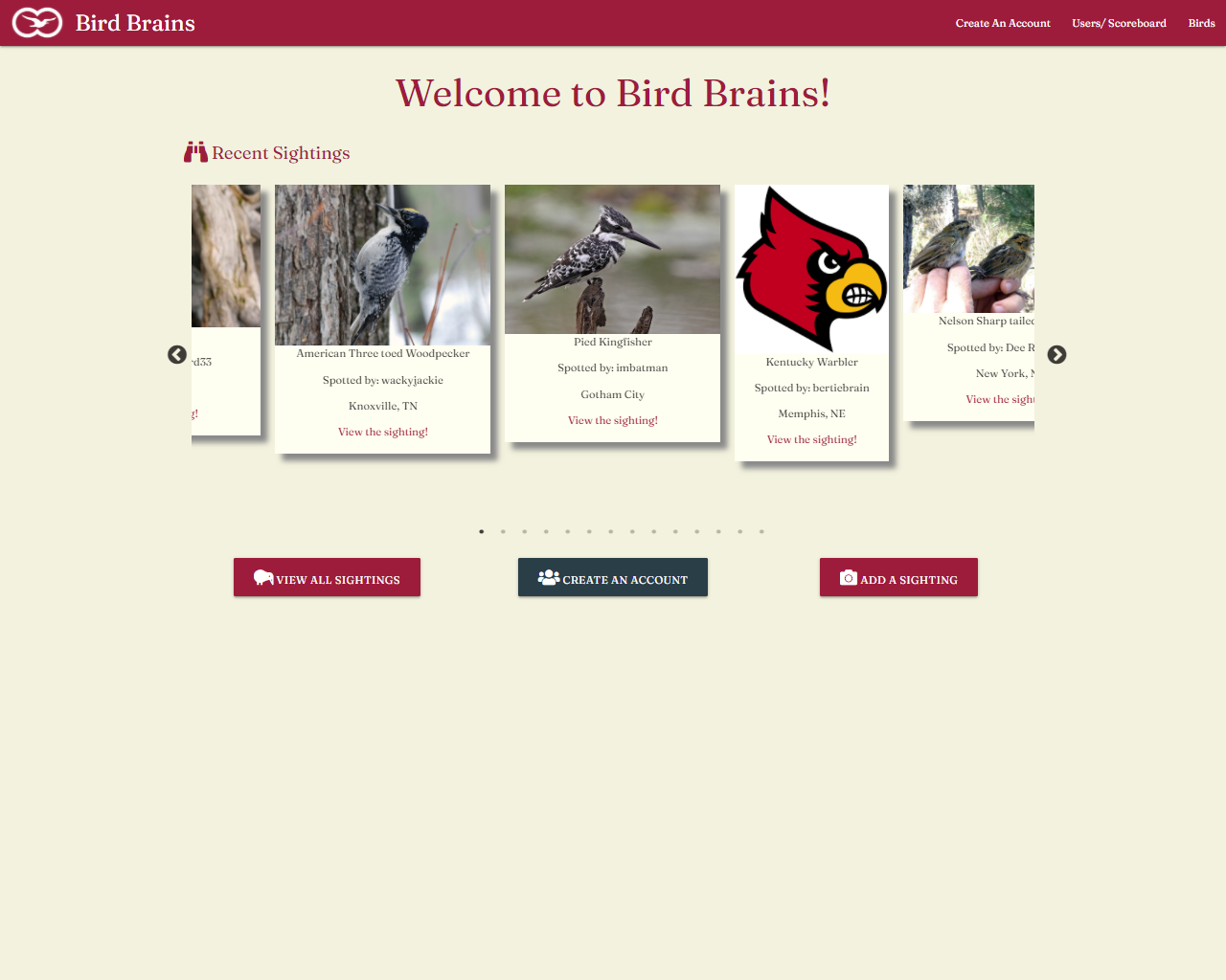 screenshot of Bird Brains homepage