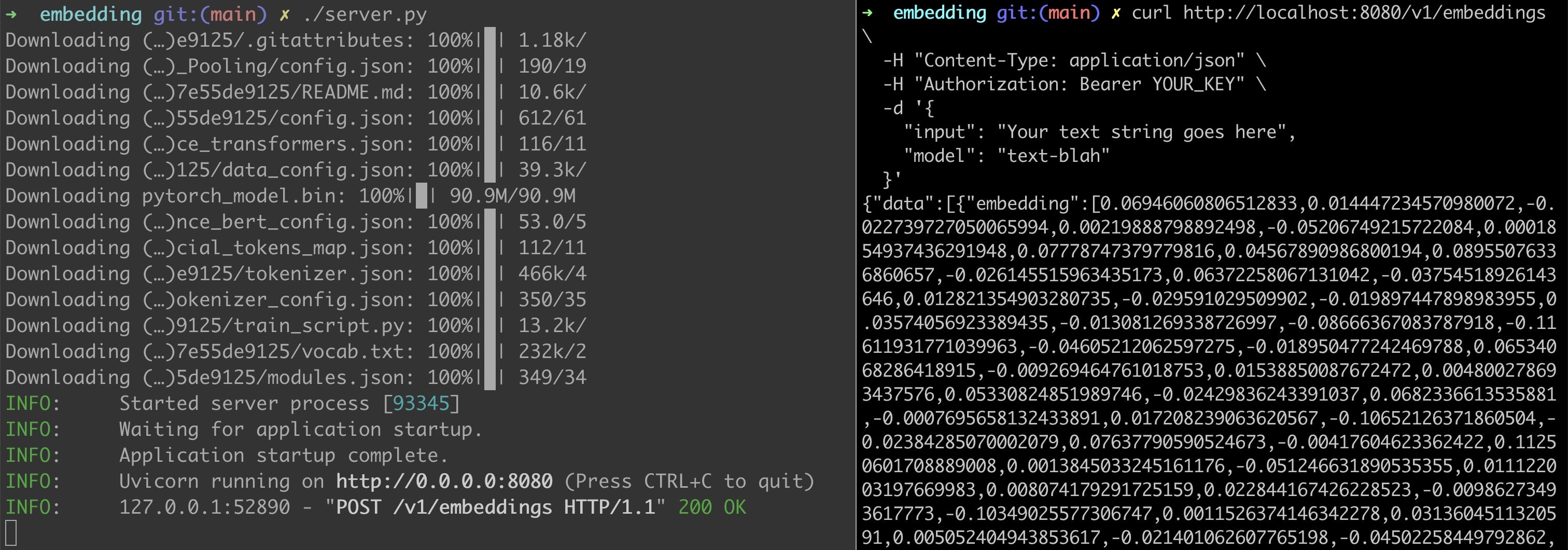 Private Embedding Server