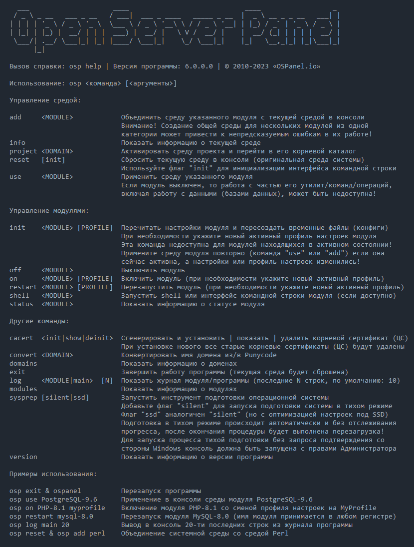 Open Server Panel Console