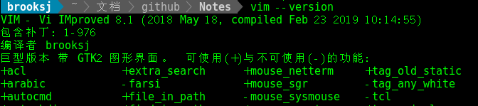 vim_version.png