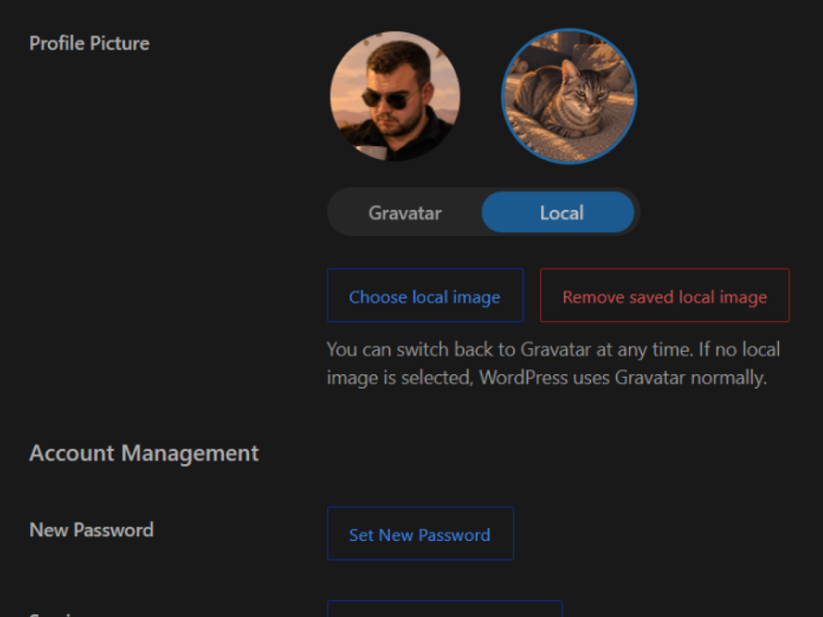 Close-up of DimiPress Local Avatar with Gravatar selected