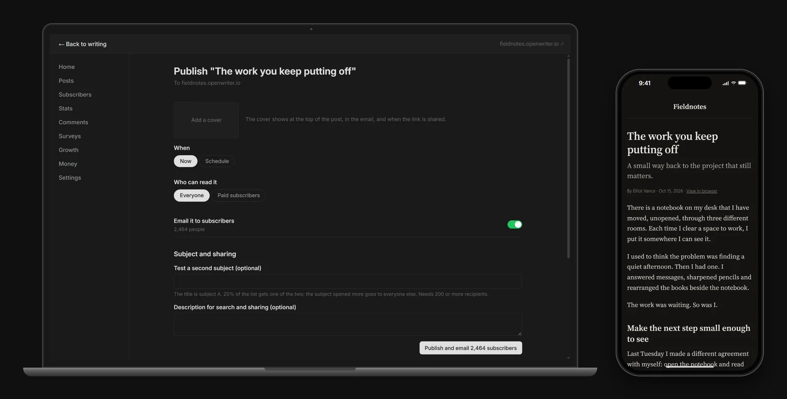 The publish page set to email 2,464 subscribers, and the newsletter as a subscriber reads it