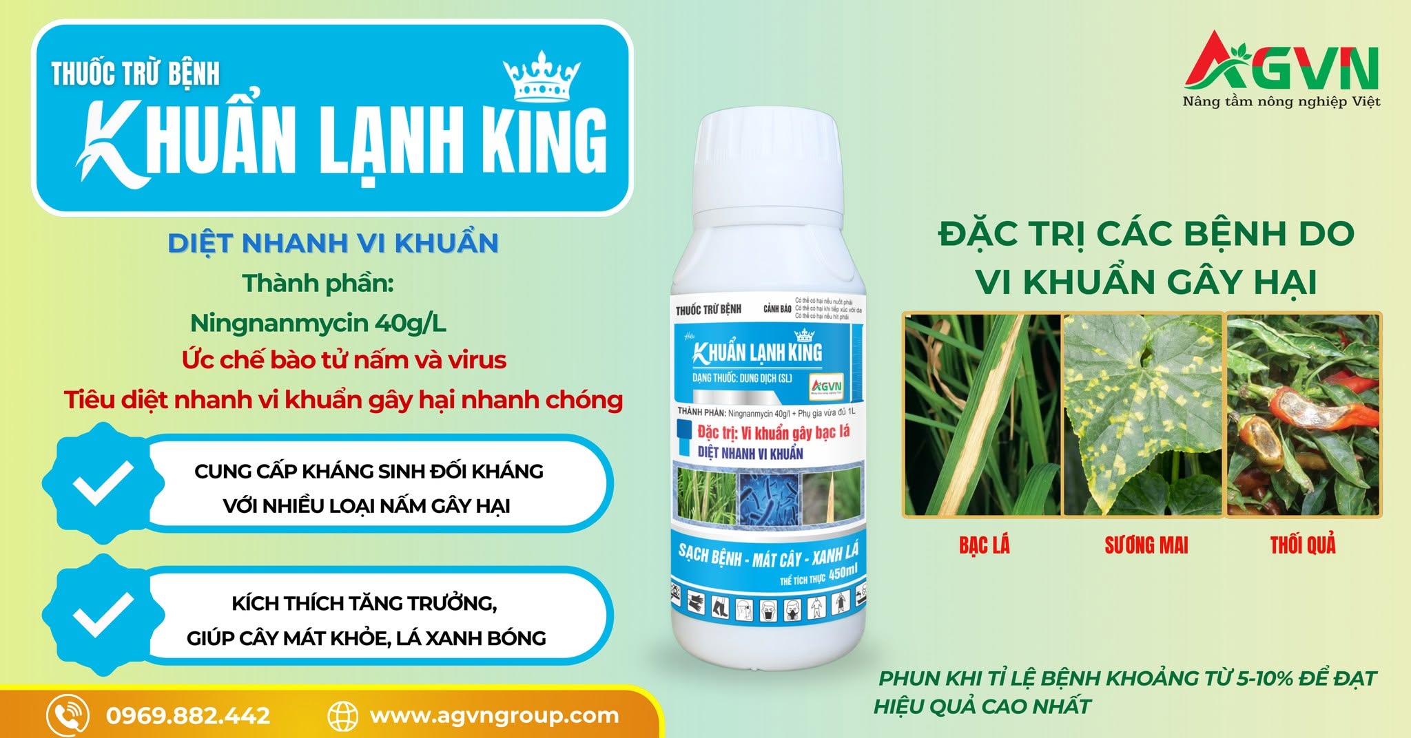 Khuẩn lạnh King