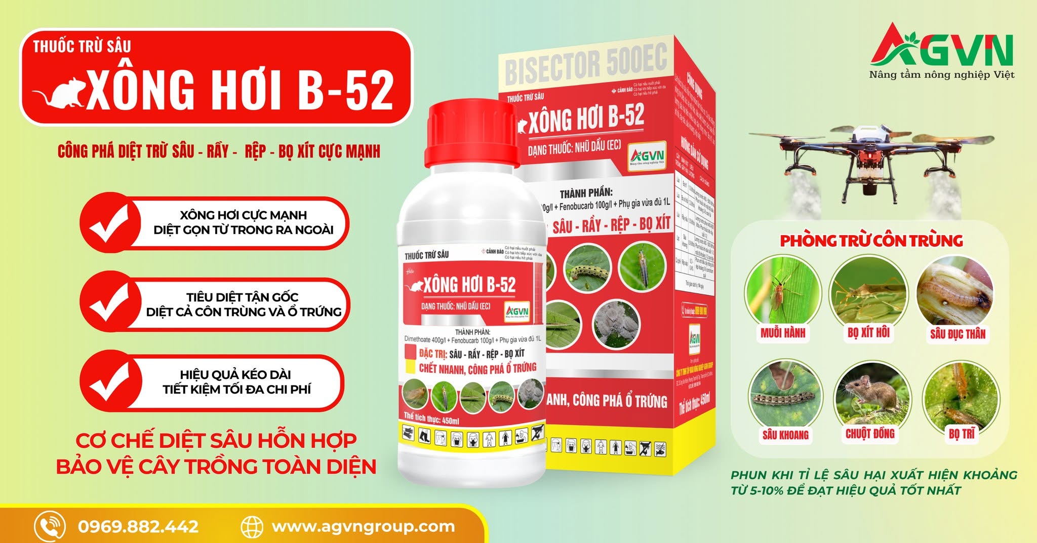 Xông hơi B52