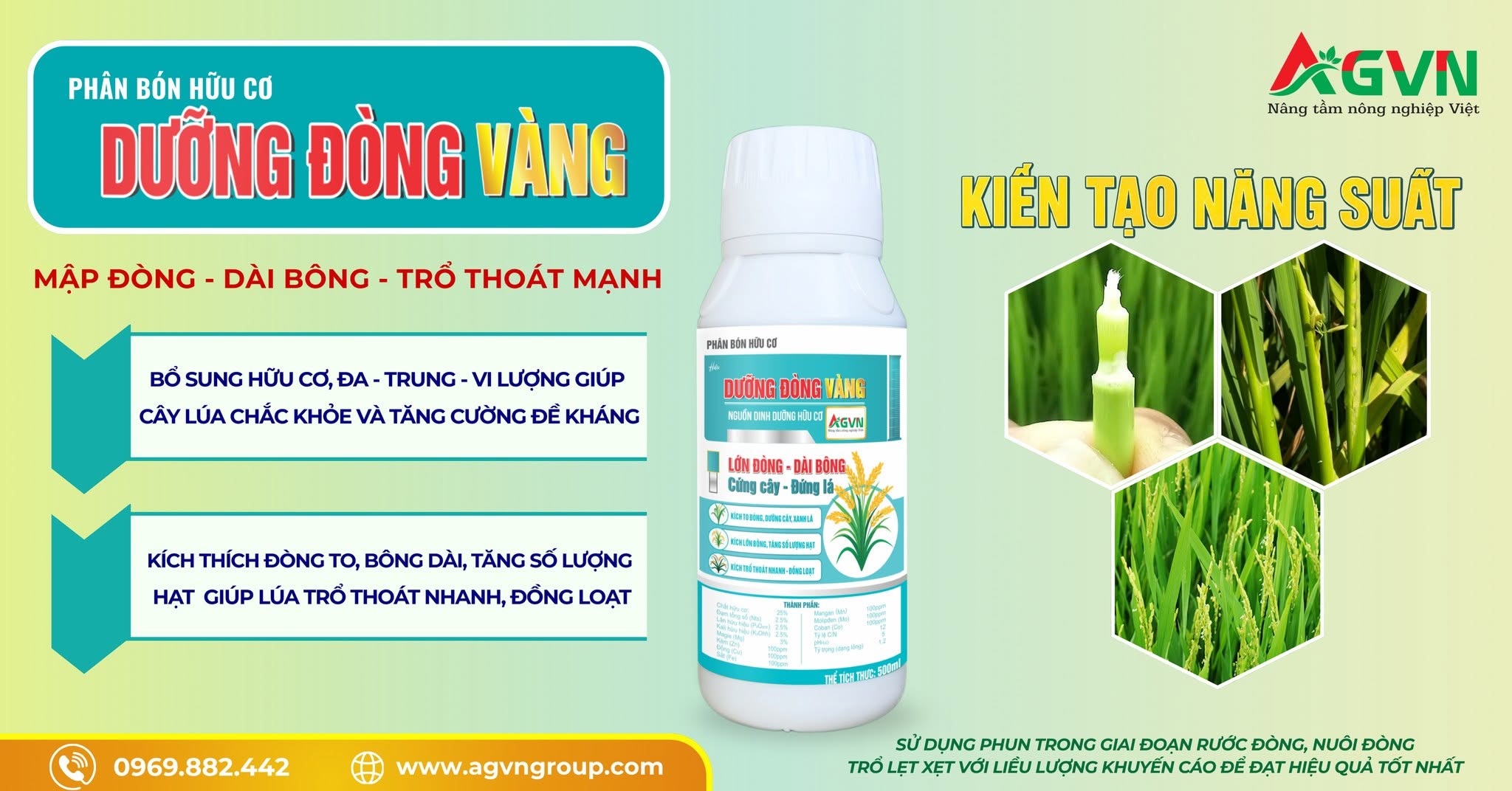 DƯỠNG ĐÒNG VÀNG