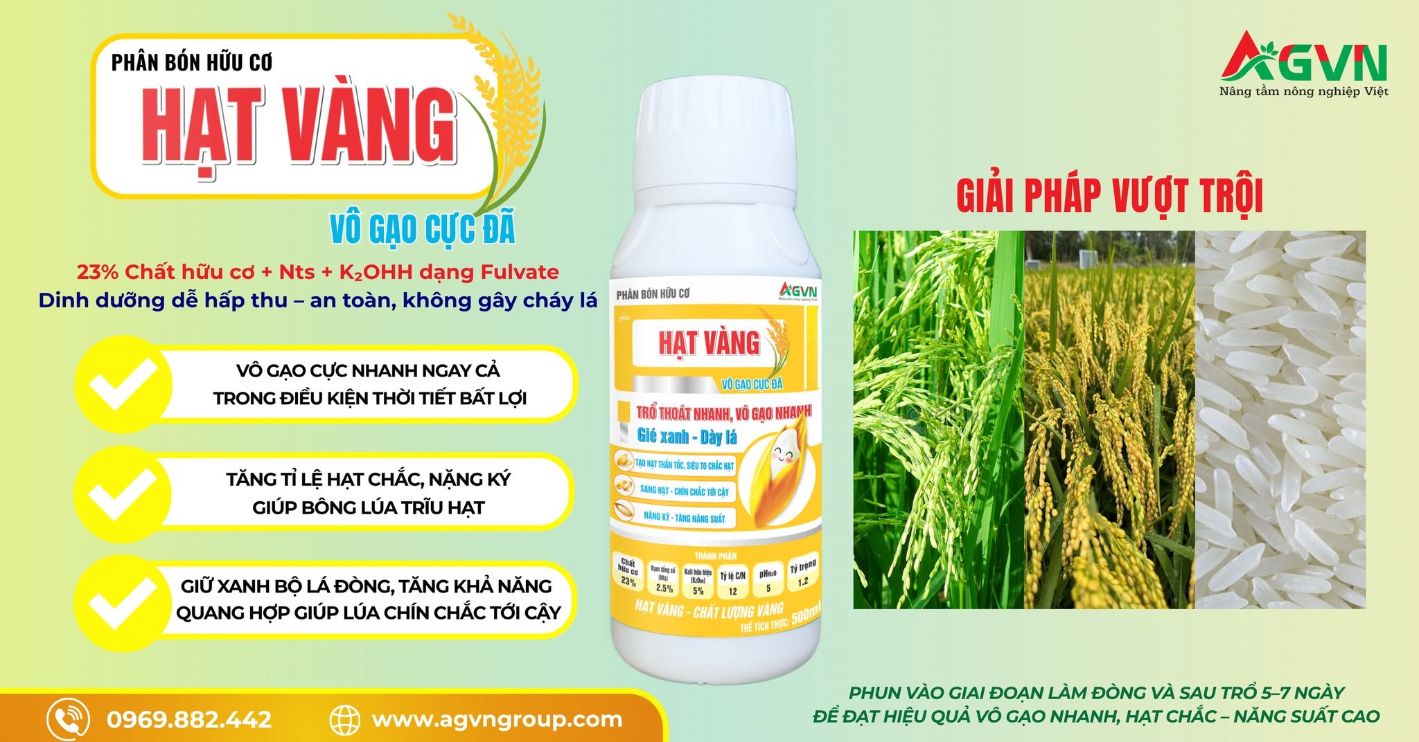 HẠT VÀNG