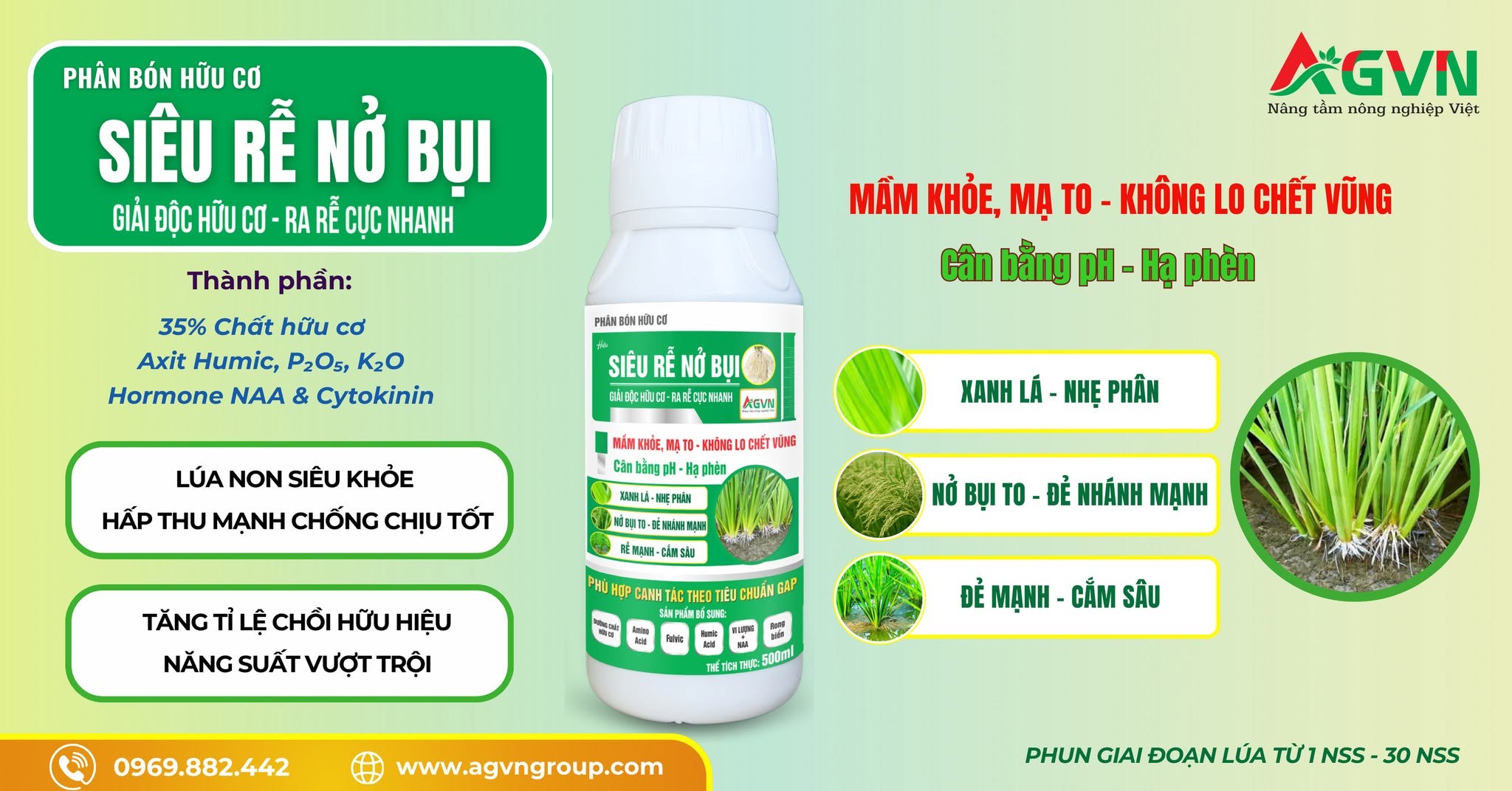 SIÊU RỄ NỞ BỤI