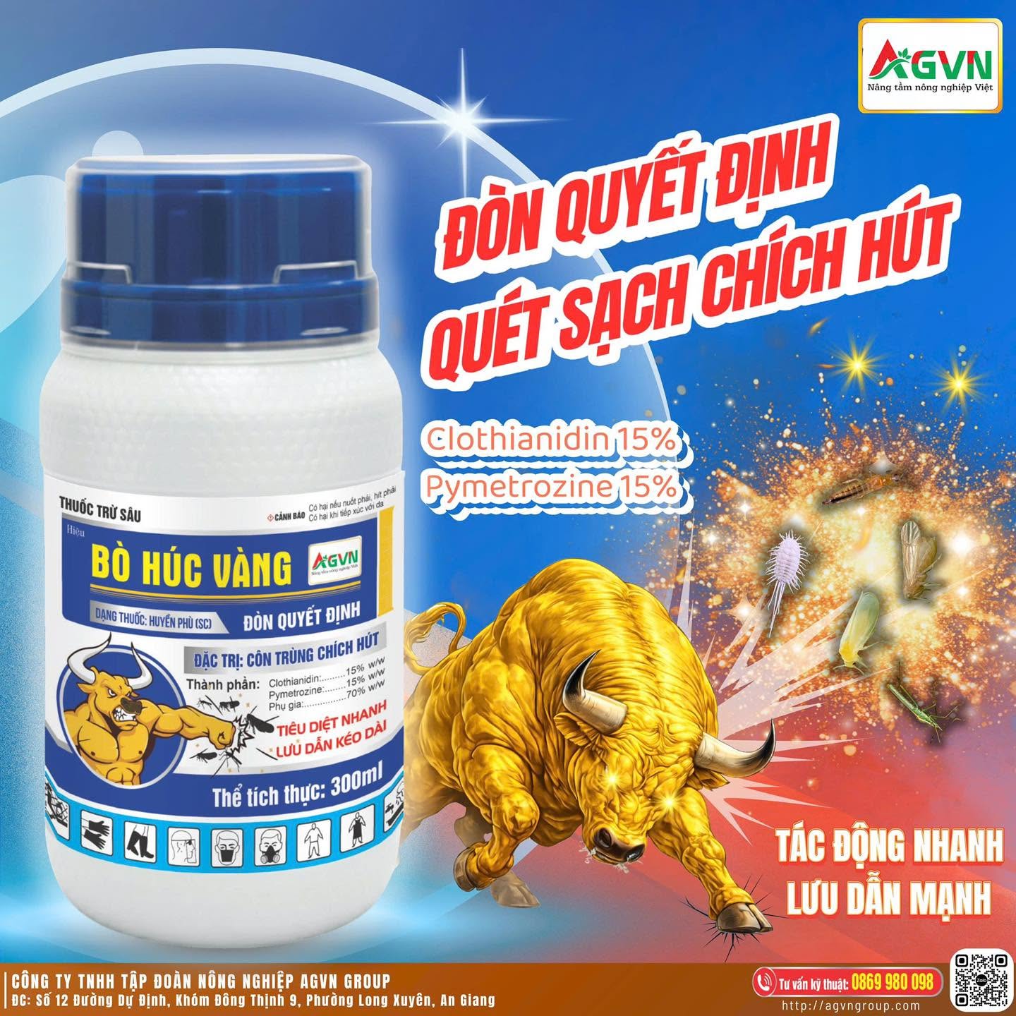BÒ HÚC VÀNG