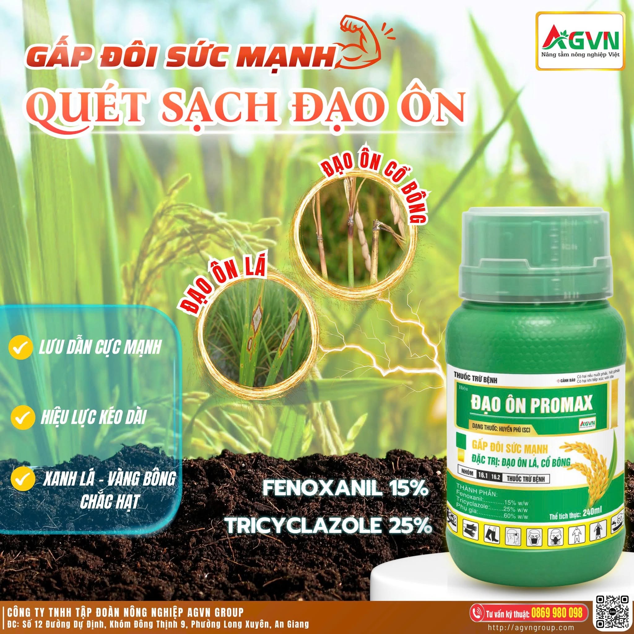 ĐẠO ÔN PROMAX